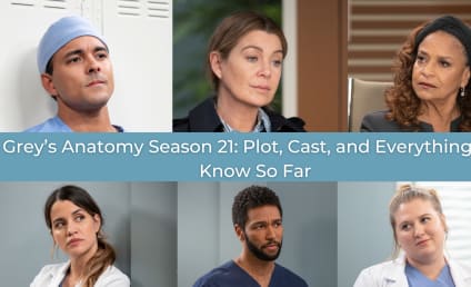 Grey's Anatomy Season 21: Cast and Character Guide