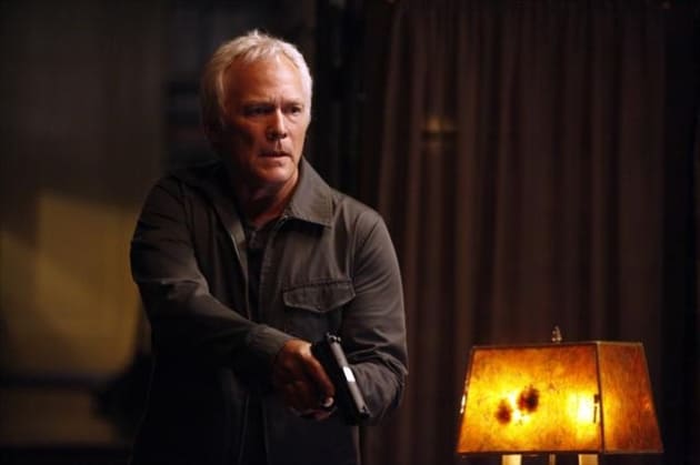 White Haired Man Photo