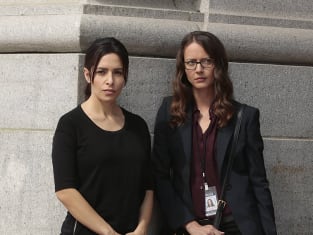 Person of interest episodes watch online shop