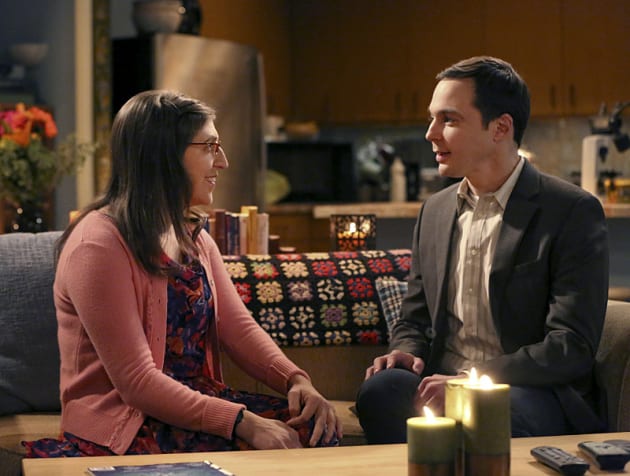 Watch The Big Bang Theory Season 9 Episode 11 Online TV Fanatic