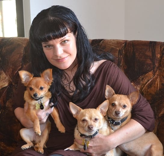 Pauley Perrette Loves Animals Too