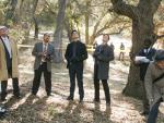 Up a Tree - Major Crimes
