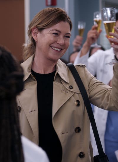 Raise a Glass to Meredith - Grey's Anatomy Season 19 Episode 7