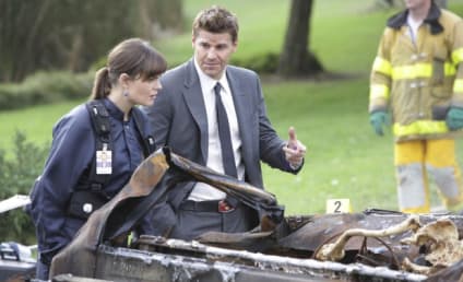 Bones Spoilers: TWO Proposals to Come!