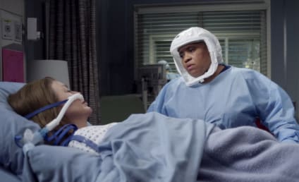 Chandra Wilson Teases How Long She'll Stick With Grey's Anatomy