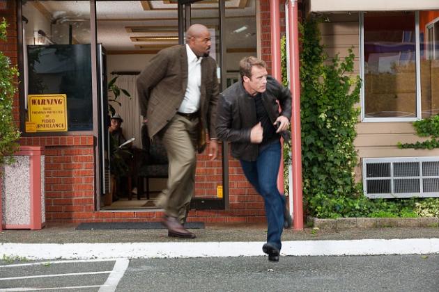 Run, Chance and Winston!