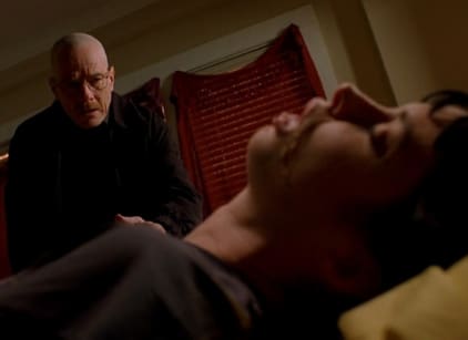 Breaking Bad Season 2 Episode 12 TV Fanatic