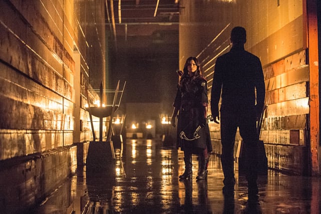 Shades of Gold - Arrow Season 3 Episode 9