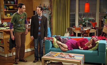 The Big Bang Theory Spoilers: Stuart Will Return