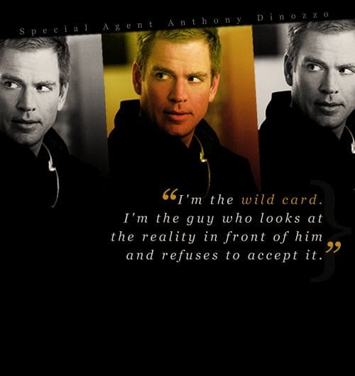 Wild Card