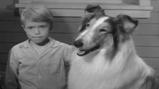 Timmy e Lassie assistem ao Homem de Gelo - Lassie