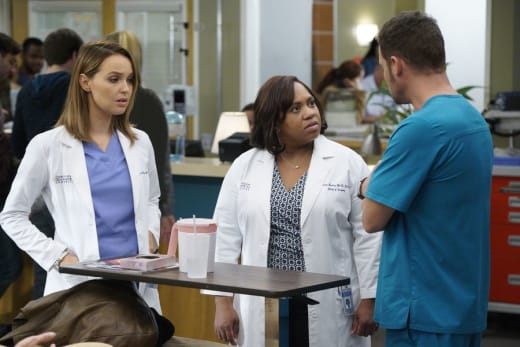Grey s Anatomy Season 13 Episode 6 Review Roar TV Fanatic