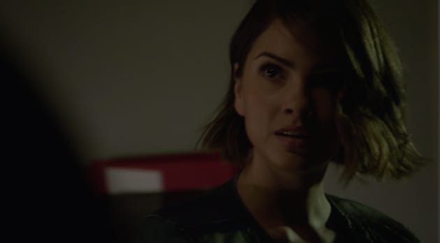 Teen Wolf Season 5 Episode 13 Review Codominance Tv Fanatic