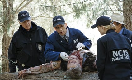 NCIS Round Table: She's a Man-Eater
