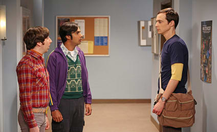 The Big Bang Theory Review: A Chicken Pecking for Corn