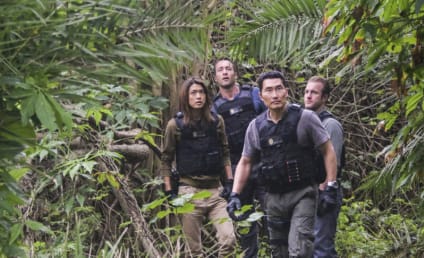 Hawaii Five-0 Season 7 Episode 21 Review: The Water Is Dried Up