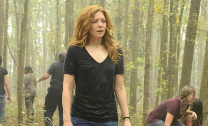 Under the Dome Canceled After Three Seasons