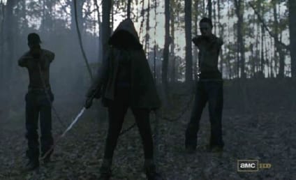 The Walking Dead Season Finale Scores Killer Ratings