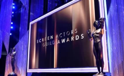 SAG Awards 2017: Who Took Home the Gold?
