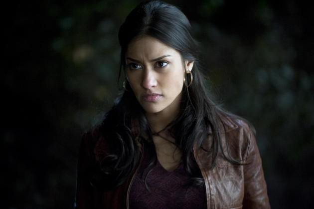 Janina Gavankar on True Blood