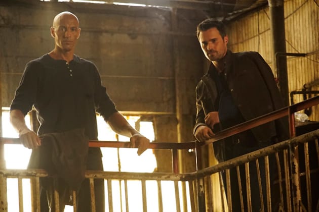 Director Ward Schemes - Agents of S.H.I.E.L.D.
