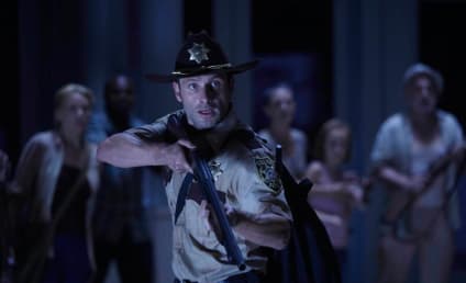 The Walking Dead Season Finale Review: "TS-19"