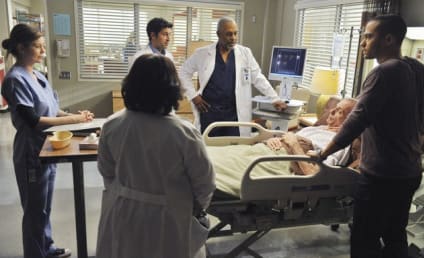 Grey's Anatomy Review: "Perfect Little Accident"