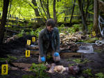 The Mushroom Killer