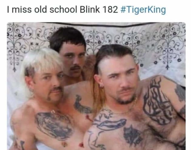 Tiger King meme 10
