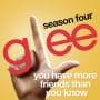 Glee cast you have more friends than you know