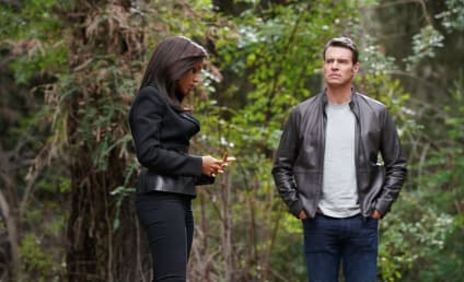 Scandal Season 7 Episode 8 Review: Robin