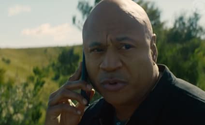 LL Cool J Joins NCIS: Hawai'i Cast, Reprising NCIS: Los Angeles Role