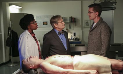 NCIS Season 16 Episode 16 Review: Bears and Cubs