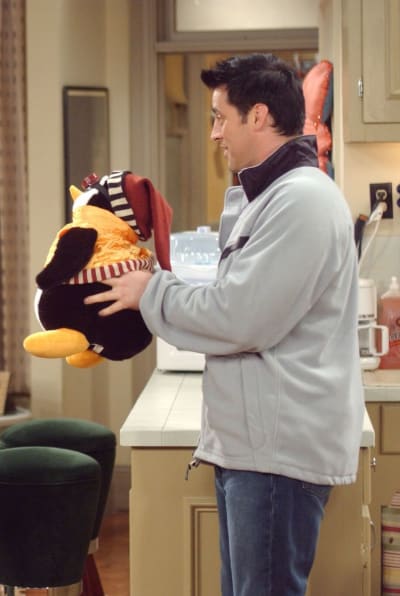 Joey and Hugsy - Friends