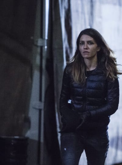 Dinah Arrow