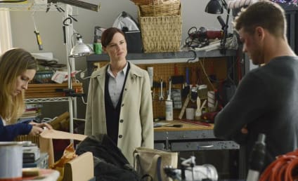 Secrets and Lies Season 1 Episode 3 Review: The Affair