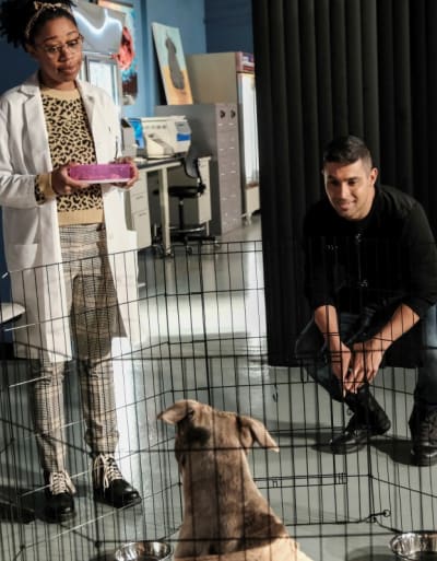 A Dogfighting Ring -- Tall - NCIS Season 18 Episode 10