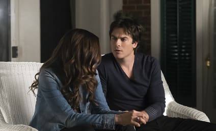 The Vampire Diaries Round Table: Will Damon Take the Cure?