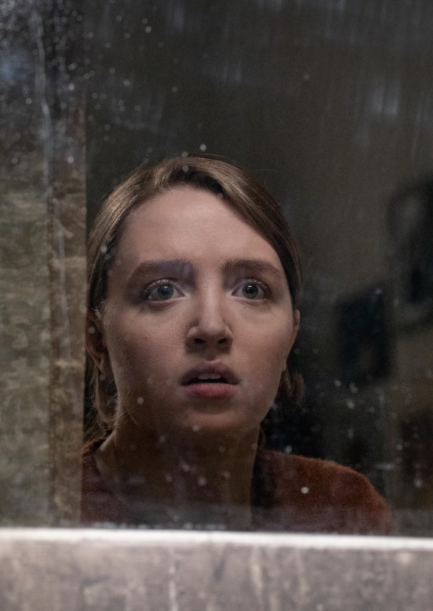 Fear in the Window