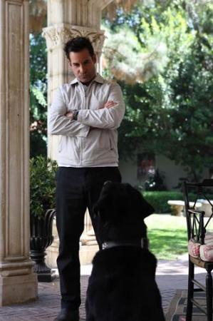 Nathan vs. Canine
