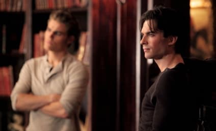 The Vampire Diaries Fan Fiction Contest: How Will Season Conclude?