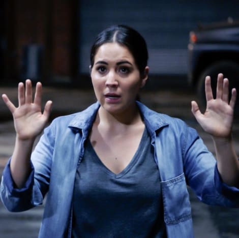Hands Up - Blindspot Season 5 Episode 5
