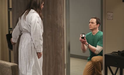 The Big Bang Theory Season 10: Best Episode, Most Surprising Moment & More!