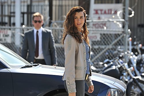 Ziva Picture