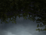 Is Archer Dead?