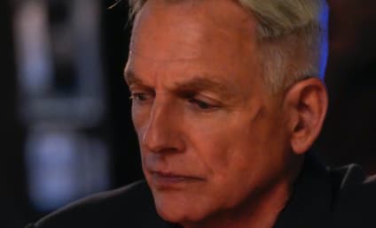 NCIS Alum Pauley Perrette Was Assaulted by Mark Harmon, Report Alleges