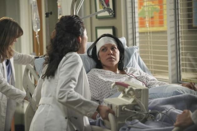 Doctor Callie Torres Pic