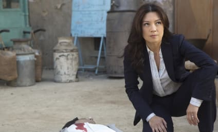 Agents of S.H.I.E.L.D. Season 2 Episode 17 Review: Melinda