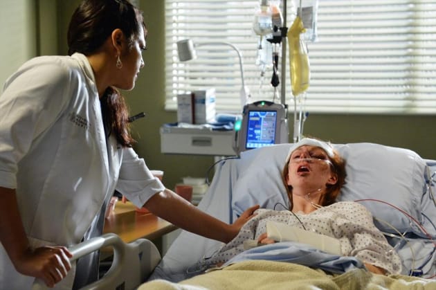 Caring for a Veteran - Grey's Anatomy Season 11 Episode 6