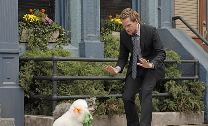 How I Met Your Mother Review: Dog Days of Autumn